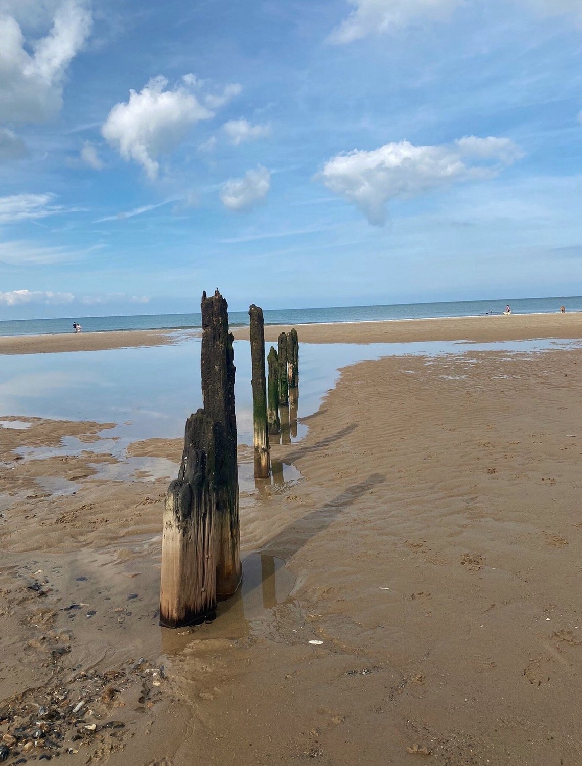 Wooden groyne posts standing in shallow water on the wide flat sand at Brancaster beach